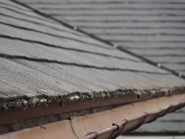 苔の生えたスレート屋根アップ