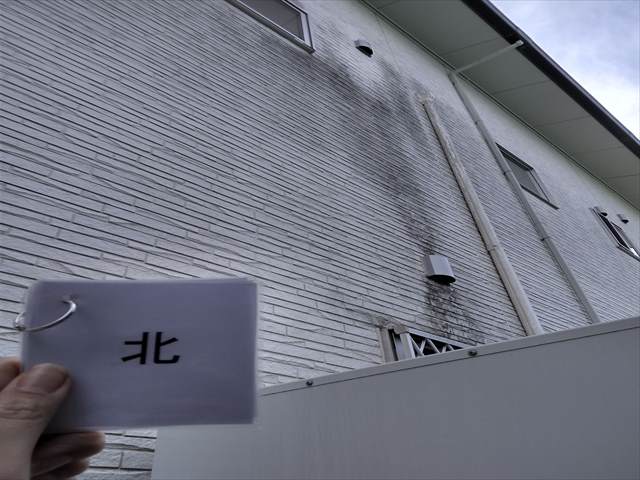 石岡市で現地調査。外壁に出来た黒い汚れの原因は？！
