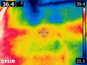 小美玉市-現場調査外壁サーモカメラ２_20084