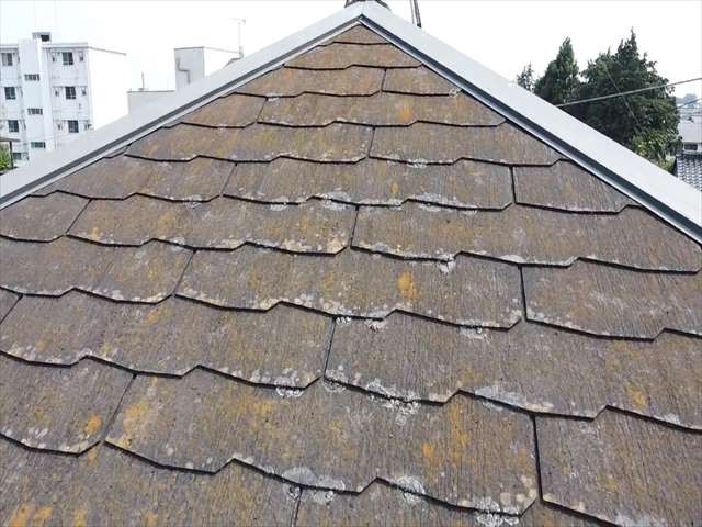 セイバリーという屋根材が使われていました