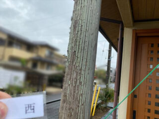 石岡市で築40年の家の現地調査。玄関化粧柱がボロボロ！雨樋には欠けや染みがみられました