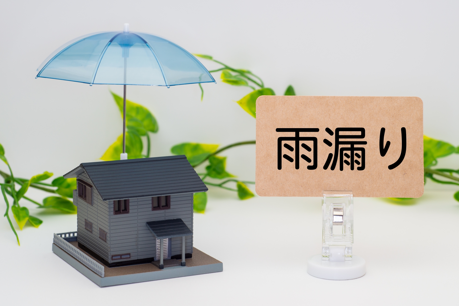 イメージ画像