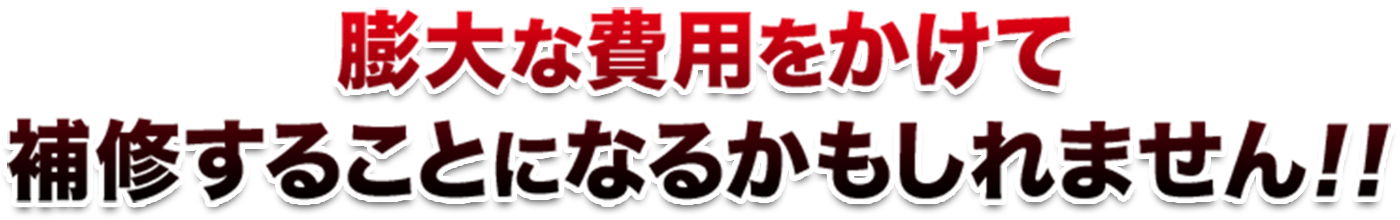 膨大な費用をかけて補修することになるかもしれません!!