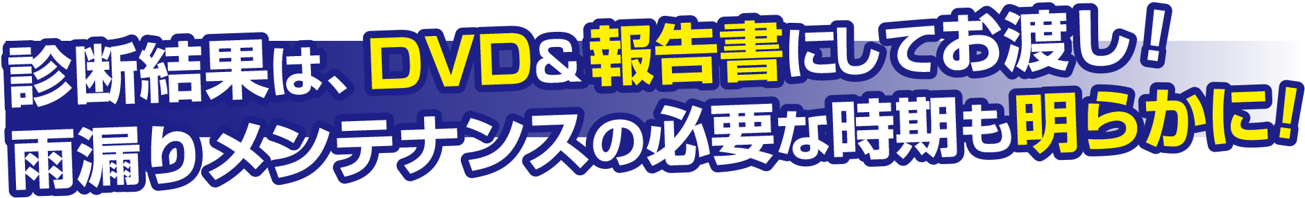 診断結果はDVD&報告書にてお渡し