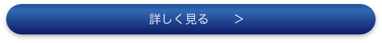 詳しく見る